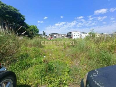 義成三段, Dongshan Township, Yilan City 269, Taiwan