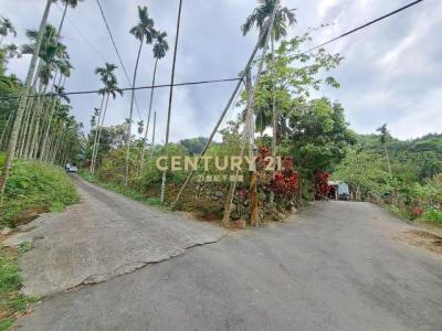 大坑段大坑小段, Чжушань, Уезд Наньтоу 557, Тайвань