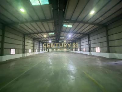 樹潭街, Shulin Dist., Tân Bắc 238, Đài Loan