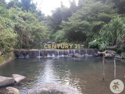 蓬菜寮段半路 店小段, Shiding Dist., نيو تايبيه 223, تايوان