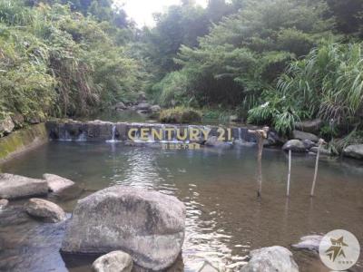 蓬菜寮段半路 店小段, Shiding Dist., نيو تايبيه 223, تايوان