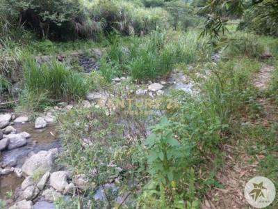 蓬菜寮段半路 店小段, Shiding Dist., نيو تايبيه 223, تايوان