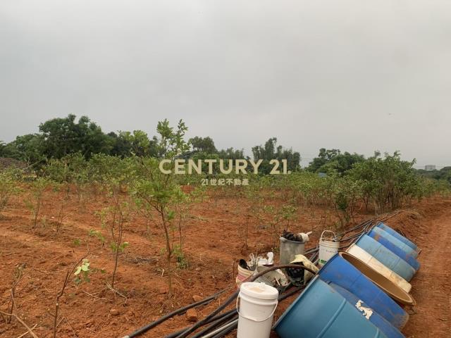 東金段, 平鎮區, Taoyuan 324, Taïwan