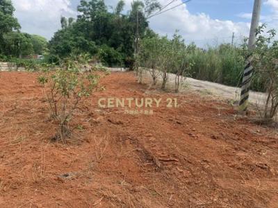 東金段, 平鎮區, Taoyuan 324, Taïwan