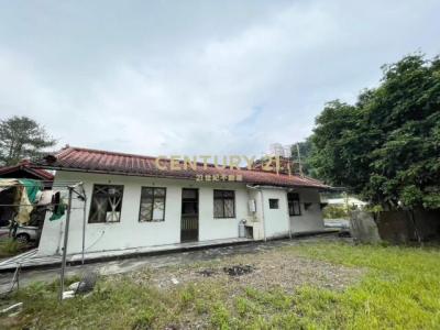 枇杷路, Puli Township, Nantou County 545, 台湾