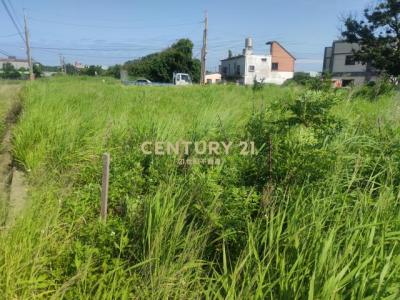 笨子港段榕樹下小段, 新屋區, Đào Viên 327, Đài Loan