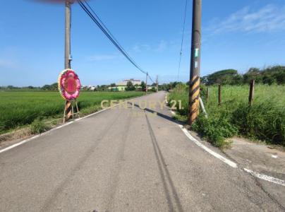 笨子港段榕樹下小段, 新屋區, Đào Viên 327, Đài Loan