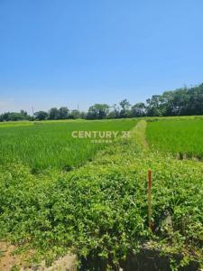 新屋段後湖小段, 新屋區, Taoyuan City 327, Taiwan