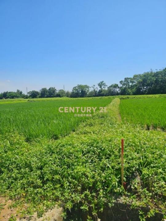 新屋段後湖小段, 新屋區, Taoyuan 327, Taiwan