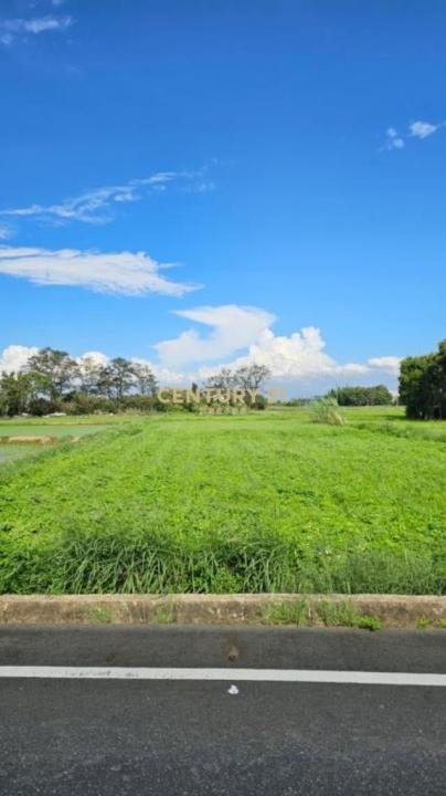 十五間段十五間尾小段, 新屋區, Taoyuan 327, Taïwan