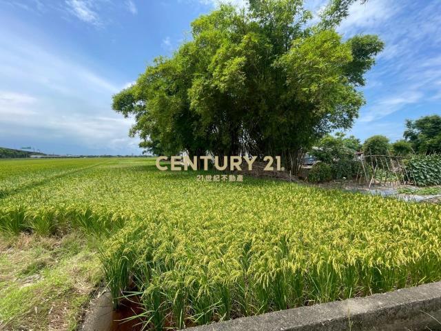 新福段, Zhuangwei Township, Yilan 263, Taiwan