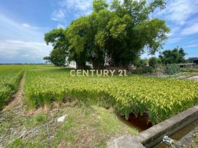 新福段, Zhuangwei Township, Yilan 263, Taiwan