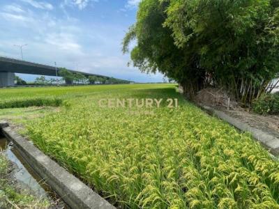 新福段, Zhuangwei Township, Yilan 263, Taiwan