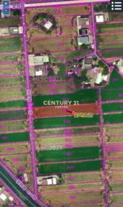 振興三段, Yilan City, Yilan City 260, Taiwan