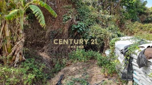 胡厝段, Shanhua Dist., Tainan 741, Taiwan