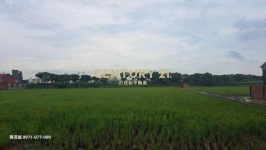 茄拔段二小段, Shanhua Dist., Tainan City 741, Taiwan