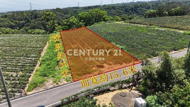 牛運堀段, Nantou עיר, Nantou קאונטי 540, טיוואן