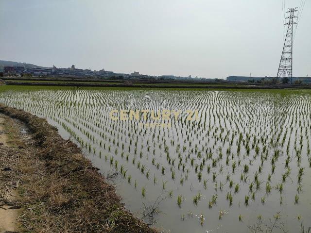 追分段, Dadu Dist., 台中 432, 台湾