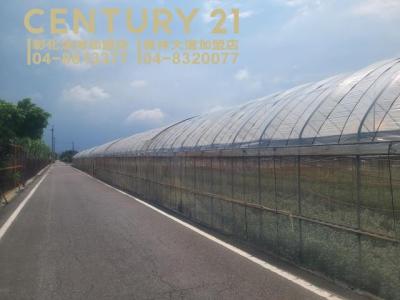 仁豐段, Tianwei Township, Changhua County 522, Taiwan