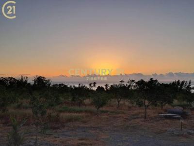 興隆, Donghe Township, Taitung County 959, Taiwan