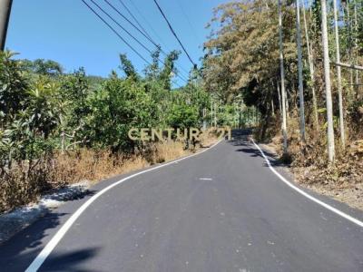 福德路, Шули, Уезд Наньтоу 553, Тайвань