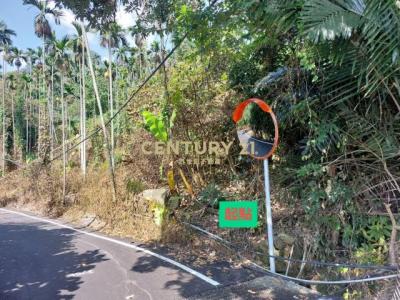 福德路, Shuili עיירה, Nantou קאונטי 553, טיוואן 