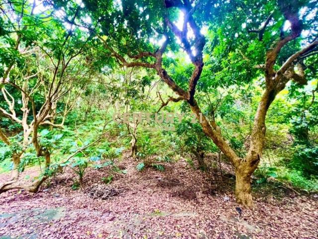 德興段, Fenyuan Township, Changhua County 502, 台湾