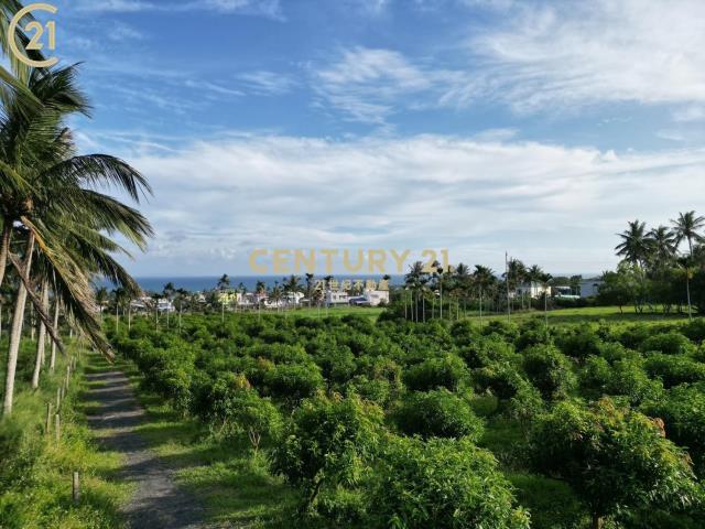 隆昌., Donghe Township, Taitung County 959, Taiwan