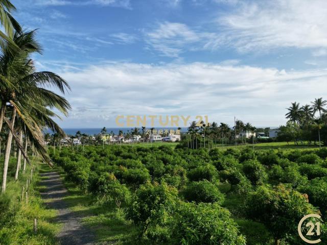 北佳里段, Donghe Township, Taitung County 959, Taiwan