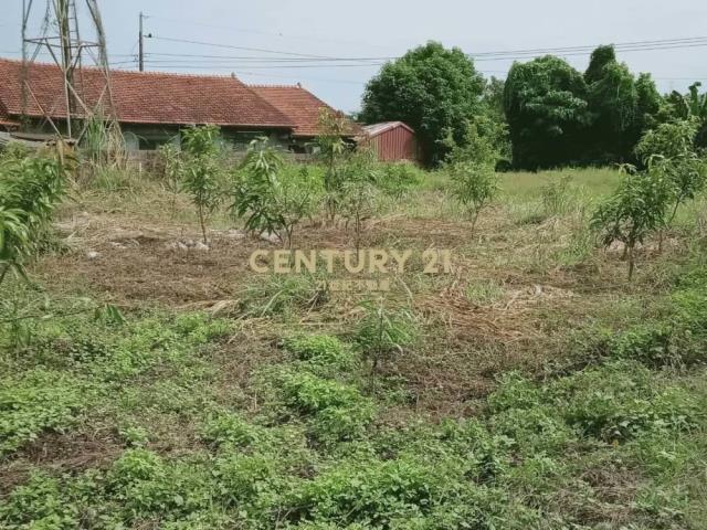 德興段, Чжушань, Уезд Наньтоу 557, Тайвань