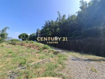 鯉魚路, Чжушань, Уезд Наньтоу 557, Тайвань