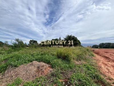 清泉路, Daya Dist., Taichung City 428, Taiwan