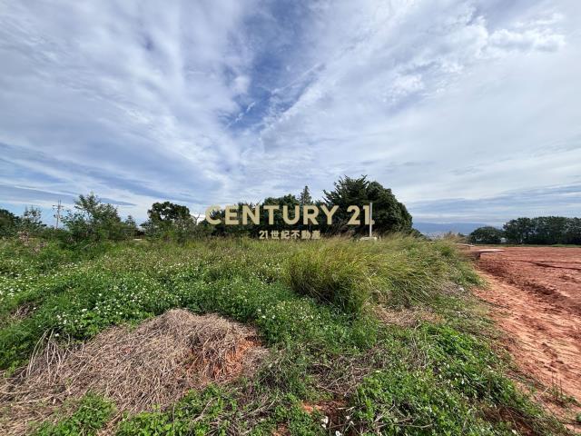 清泉路, Daya Dist., טאיצ'ונג עיר 428, טיוואן