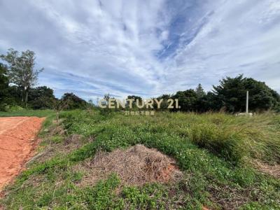 清泉路, Daya Dist., טאיצ'ונג עיר 428, טיוואן