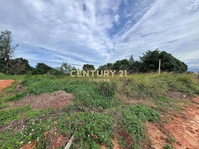 清泉路, Daya Dist., טאיצ'ונג עיר 428, טיוואן