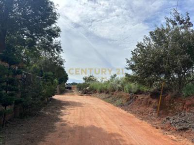 清泉路, Daya Dist., טאיצ'ונג עיר 428, טיוואן