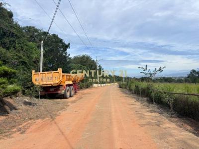 清泉路, Daya Dist., טאיצ'ונג עיר 428, טיוואן