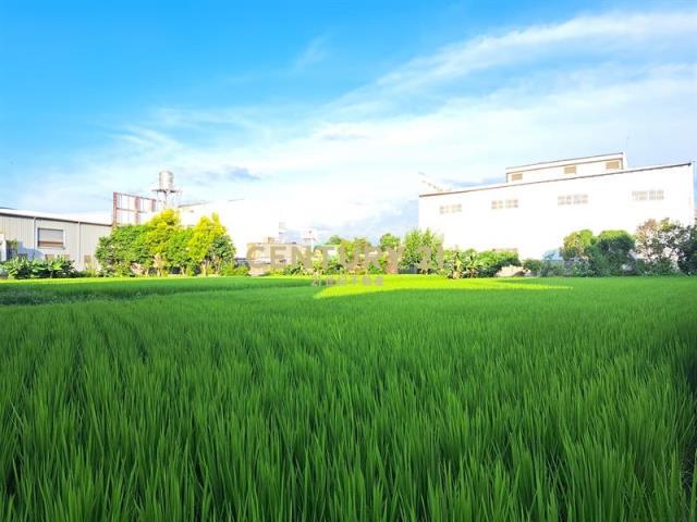 牛埔段, Tanzi Dist., 台中市 427, 台灣