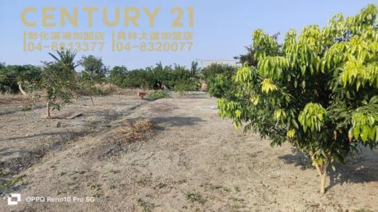 二重段, Puxin Township, Changhua County 513, Taiwan