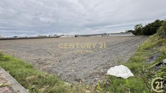 新生段, Taitung עיר, מחוז טאיטונג 950, טיוואן