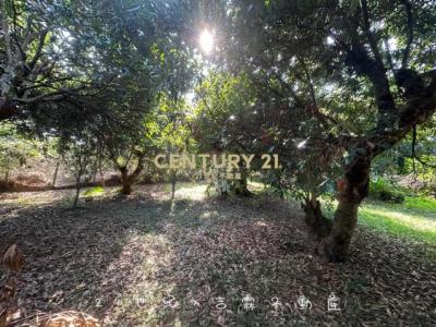 潭興段, Tanzi Dist., Taichung City 427, Taiwan