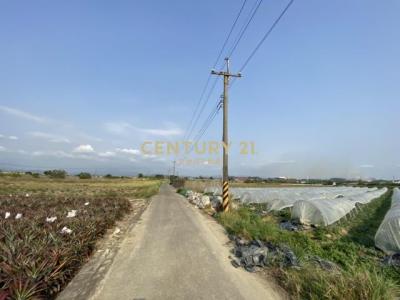 東大社段, Xinshi Dist., 타이난 744, 대만