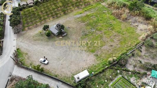 鎮樂路, Beinan עיירה, מחוז טאיטונג 954, טיוואן