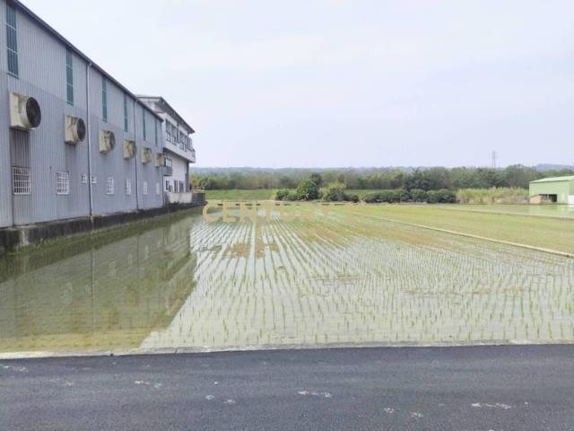 新光段, Caotun Township, Nantou County 542, Taiwan