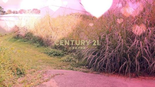 中和街二段, Xinshe Dist., Тайчжун 426, Тайвань