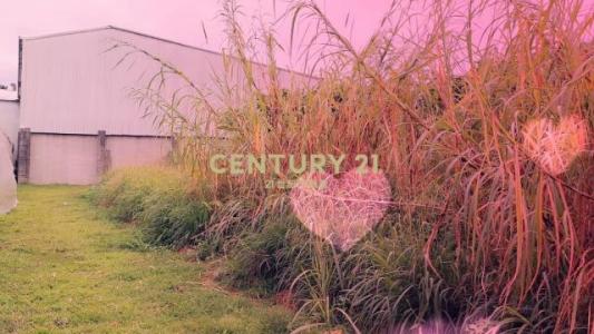 中和街二段, Xinshe Dist., Тайчжун 426, Тайвань