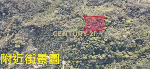 龍眼林段, Zhongliao Township, Nantou County 541, Taiwan