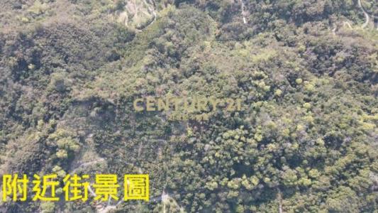 龍眼林段, Zhongliao Township, Nantou County 541, Taiwan