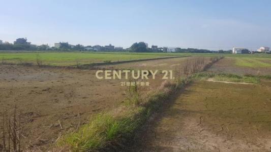 角秀, Guantian Dist., مدينة تاينان 720, تايوان