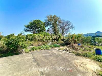 自強段, Daya Dist., Taichung City 428, Taiwan